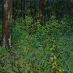 В лесу - пейзаж Даниила Белова