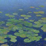 Water lilies painting by Daniil Belov